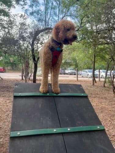 AC9h4npMJ7 FYyTCHEfaAcQqoM2ZCWu8QIVv0vPLnj4il0gAzCD ooa4bqei XfcrxxUI Zrs1VAae0eJ9fLwELIFdNsfDc3qbR7O1vf2VQ9Br3k NND9sPu0v2tQ1BbDnqFZkn7y9Qw1600 h1000 k no