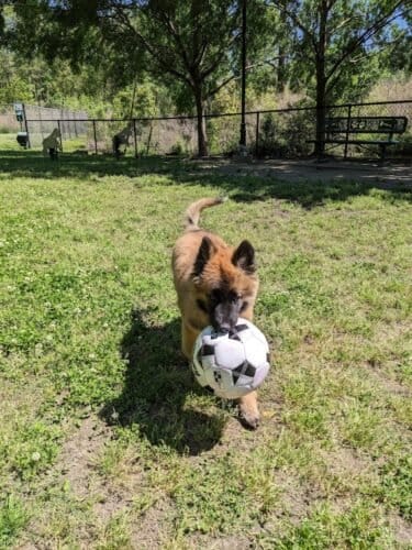 AC9h4npMLhs9 ggADBHHVolvgi6YiXwhfeWPCfUXgqfqMLcQUvPArmCOWljtJZtbYkhX6Qah1ILpEiwXIVoEbjGIlyX2Na RFCf9HA3TKxfw5F 69G2hIWD1pzjI33IlBrRXrm BwS5Qw1600 h1000 k no