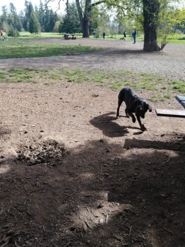 AC9h4npMNuX3ZNVqaCR0TsCN8Ik5y8xWG5sfKkxf8lqnqhYv5G73ZY9KlDLQ5GmPYnhh5HOEdQIDHS98AwKpNC8CLFytfCesqK9e8ecmYp4Uz5SvxHmrHWsuFuSqqibXEz14svEH4t dxQw1600 h1000 k no