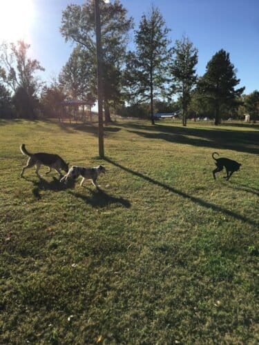 AC9h4npMc8 jACt1HaQL659517sJilTIFy5ya LK1iYF6T2VHQNvZbWq85iV0KmlmsaCDZwGs7jqnEAuKjbKcLYekeTCAva1GamvVCmKPz FRC MtOL1nGUOkfWc2rv1kfqjosg3 WAw1600 h1000 k no