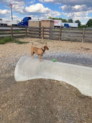 AC9h4npMoor7YEAvmihrq4eCY97ZKOGPQH4CvexiAfJxNC oI3ja4pvJesbtJwz3K8IdYR WVgKMiwGwkzsvkNmgJk9E3r09IcOsItvon4KbpaXzOkC15iI6kYvEJTBGN w28d69j clJHfGtXow1600 h1000 k no