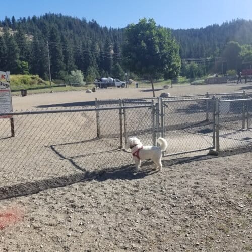 AC9h4npN0gUuLBJAK2UFRQ WpG9TAnsXm7eQr1kZbJIQVhw6jKPnnR tamXWhJzHxLqzy0bN9hMsrboG7mNc72v4uwF0DegODmjSMSIfzL96BUjVXRfyBycqNA0M4 fI OJtFt5ugNG6w1600 h1000 k no