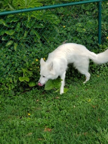 AC9h4npN39t7C2H3oesEiABimVe0pEDT psa3jbgiVm CGnUGoJssi5q7d0FcNaITzenR2zrHjMVzgoNNHQXpU emx8OvAsgIrVfxn2LIx WFOPFXS6hlE ugp6iWpPeFHAP 59UeyOckww1600 h1000 k no