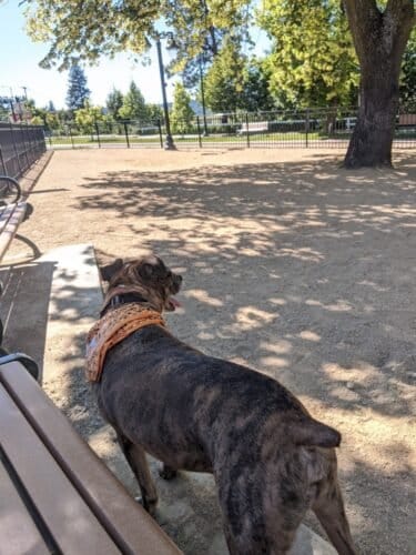 AC9h4npN6HmWbyMUyRf6 YhnTcX7nXaxApuxfOsOk43aQj11ezJxLjhnf69LKrENEfRxQyo2P7jSqpzvT2OB7MXNdazQ8uZOxlCQ4s5qcHutJE8rDo90lGmI6tsQ6PoiST8rnND1xluCHQw1600 h1000 k no