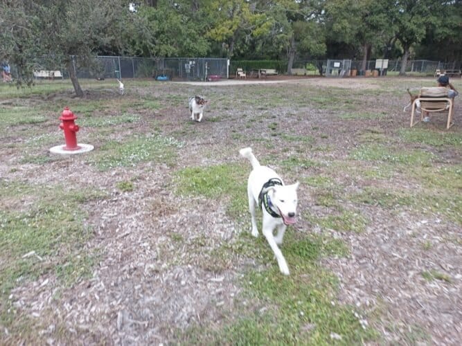 AC9h4npNAIhsdCJzk4mhZ7 OFTpZLJNl2I YzFCHJXc0LJmtpCfRP 7irabQP7F7QvSw5l1nJQVAIiOs9MOM0zMeIy8pPR26sYw8vmymBgw1600 h1000 k no