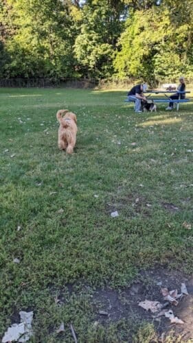 AC9h4npNCj4c2y7REhqF72p982y43ZFLXzzm9e7EmRpX2lQcLV6N9uxa nvU sCdbMMu5jBYclDWMY5TgLHKl70qfccRe95ajn3CbRS9J8OnWpSb1purhJ 8qQ4zQirCUZKD7k6aQiqqw1600 h1000 k no