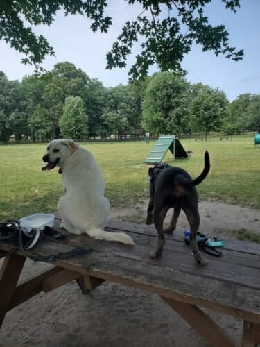 AC9h4npNKlw4BdXnnTOWaBZDn4bUMXBU rlUnGYOXJAXytjh j0fpzjoUY6rBF92Si9 57Y7PMTvaUFZVWW8 0eGZgI1ilrjMw0qbFG6Tgw1600 h1000 k no