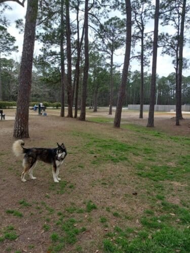 AC9h4npNN7wFSQG1NDLXnR7 POfHMreGe5hQmZhF3Ts8Gg94 GQvgUBLoWlOYFu9RC gEOMapXO6mLVzbzsMgEdNP9PCB Gu0vggAizMF0jfhC0xJGAshhdkJVyG6Sgd0 AsPMnnISQw1600 h1000 k no