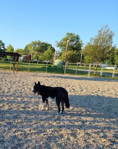 AC9h4npNPuLU05N3plJxSVfXKH5jJBz8UwmX46v 2AmsvGz xNmzB33Ho0cCyuoX4oR1 mExTaHlfhLwJHdkSIpC HyvDQb6LTWlmJWVaNow1600 h1000 k no