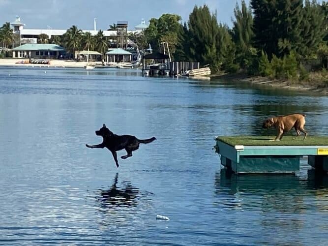 AC9h4npNTXqP6jKIkaITFkj0QFtHvr rDMVI63rLYJb Bo9ZUBhm 8EEzQC7KXEC4IxjotxhHBulX bFuCLhMaTfBG3XG1DfzFzvSVmpCjUPVN9bzxOMottLLIEHuLThnZIXK3K 4w3Jygw1600 h1000 k no