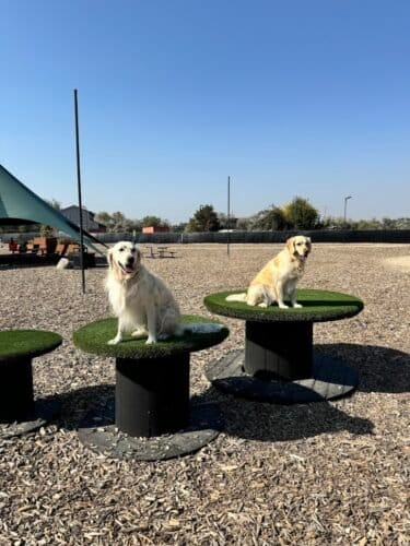 AC9h4npNXOAMBlL2xx0nQLlUJCGc1QABrJWk0MuPIMGVbi9d4mKTNMTtFE5ZnUti62f IVUG89awU85Q oLtE465WLhzD8oN1KVfYIl0oCPstnaB8MkNWbs18P69NFHCNE2VGr6GEf5ZZAw1600 h1000 k no