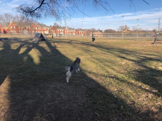 AC9h4npNbG07K70ZpAPgXIWZEXYeuZlKXi5FygrpDZlEMzapsBKRCBViOUXLHbYIsC88x9aN vyNLFSVL SMTRR 4lLsJDzSrZDbXPYA s4d8EjU2ZR KJ5v6lSwujU5mwJ4m0mF7ZeCw1600 h1000 k no