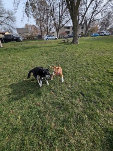 AC9h4npNjqT6X4MwEh 77QQiFE5x9Y21PTbycCCQmBamoBthzu6fGiOYJ3opGRb nmovWyJVdG PnEom2jFvWqJdFBa fFY WIR99T7zyQw1600 h1000 k no