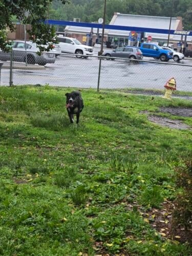 AC9h4npNxW2BnfYdDCQenx2Q0p0EDP6bFm qwoaJc qYhtZ4ndjBNJKDggGJk rBzAWpy4QhU1kp0HfLKe92Zg6Plgcw5K53a qJ9kNNCAw1600 h1000 k no