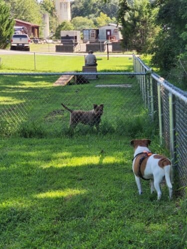 AC9h4npO3Z YNMcw 6zwE8EVdCA7YfCS1JSuoI82M KuCmq14Tc46 UAuZYBWr4XlV5f098CBxCudr1Fq2yUsfTG T1T uASwDr3ZO97F7N4UzxR4Vw4C3r5HokhPHeiKjh9Yv xcxQt3ww1600 h1000 k no