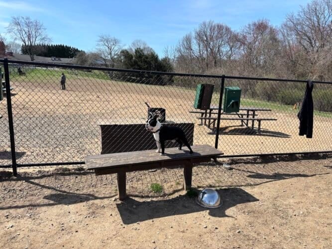 AC9h4npO7AMwI3A7sowxwA2ApX 4phTMtHzmMJa 2FkYuL7HeGRW5xQtQwU8HtRgj9CImngJjTkLe9hkg 11KvF dHIExwAaWn5pfjOUGCMyKC1cBsxFTCqrlJXehtdj44v9YjtdKoZ hRwvmTpXw1600 h1000 k no