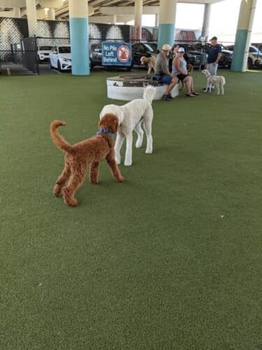 AC9h4npOAtOTEgXB1nRbU9Ixe4b9 no8qCqT3cFqg0yJI9y58mQyI2jfH83v8MWAuTmzr3CECXzoklYaBNq5SUCiqluwfe5UBGNBjfTKs0Ppx3Bprjp pQT 5XMbznF adu2M8EbMjw2w1600 h1000 k no