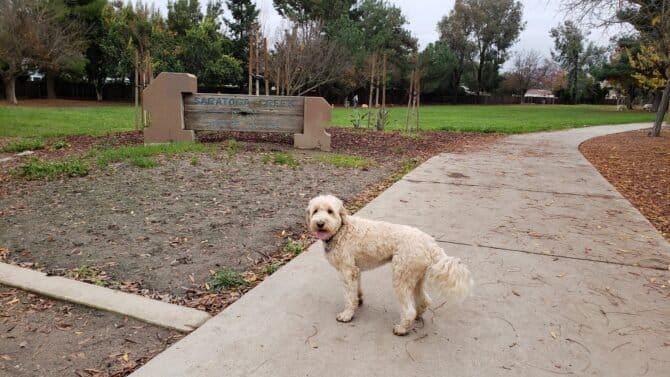 AC9h4npOHQKwKll7v2nA IBvNg4LkyOnqtF0v7vnfJCsi2iJp1vTiBMeEl7uo4Xe FfZeGUG7IB2MXyPK4vaGP97AITr21DtxxEoxuprw1600 h1000 k no