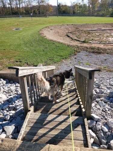 AC9h4npOIkAdBvqjjRJbNkvrfsHXXAeQDmy3S2A9zfpOGus6xTJ6GNz7wxF8mmx4AAO5 VzW6 d8wDk2JL03MmmH59oolr6EpvnJIF66AJEgiOHUkaSqfgj9ad6i9oW9bro2qfjMTC8XCww1600 h1000 k no