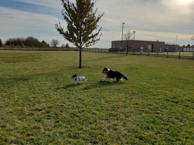 AC9h4npOWY2ozi0xHHAUVL47BFHLxwzy 8jJmyJbsEkSOX PVwfNVk i31LglsPbxx8lcsxrZ3JcHWX2VKFpZGGsUkKRveH3WFBQQUVJKpHjOToaFD03Bal UJftvtV0pubfWV1gDlsww1600 h1000 k no