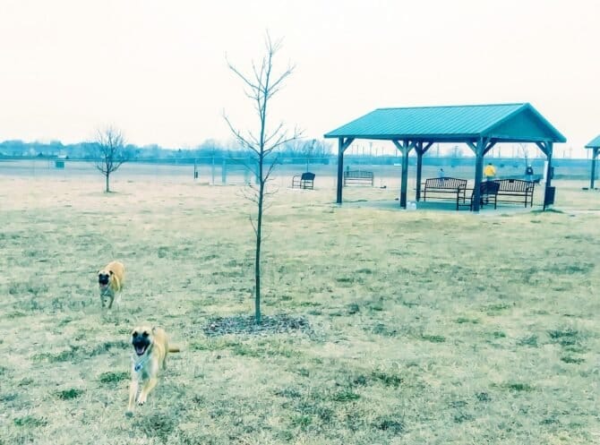 AC9h4npOaE KpVDFlc9lo4TC6xfKJCn5A204LfRICu1HqIdTn7JuKLxEbd4245OGlrra7c6Q5HXj1eBvQDsQWR 0GLol8 KR2B8I7L5lhDnEmaw5B4pAtIXA1VfQF4Y HxlBG9wgprxGw1600 h1000 k no