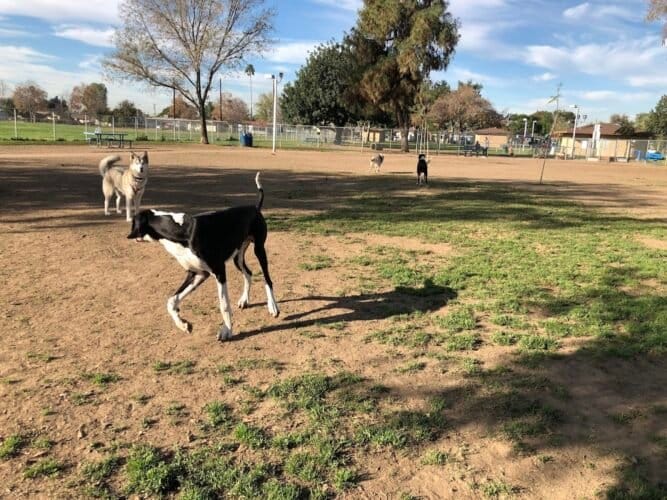 AC9h4npOhhTRjyWSk5AidPA7JmSj04pDOmUW3Hwual4rfJNv A7pY3HJ6yKTPXC4C Zs21aR6lrzCKIDrcwlLrXER5bHIwdM9DGdJQAUMQw1600 h1000 k no