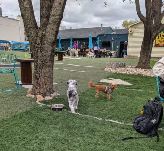 AC9h4npOj0InYN3Le NQuUtPpq3tKY1htL4oYCNWWUi2w jAJnY5VO 0yOAJnLzJCb5t94UXquKa0jM0NB4DQS5 YsA1EwFka7LoHqr6CT69b jk2k73yiCWIUYb0StLerWmR7OZrBKhw1600 h1000 k no