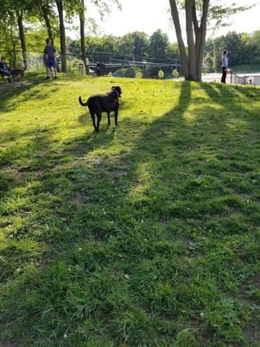 AC9h4npOkcmbX6CHOSvPhy1eqh92z M8iX0N0WiOKzLVwcoyLqxUlwdlHarT5kJQOZ0KmjMz2ms28mbX2GOPF5cxvtac oy6CRIfrXHcF0hwHkBubHYnAzu18BdyCep1LItesmX6zB4Sw1600 h1000 k no