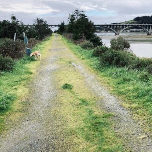 AC9h4npOrzcOyS97uNSWrKnICF2EJ Y5aR9hw7CEbS1yUGDvQqbLMCHhIAJ56B7J fINqPkiUhsunmTg8mMRQTO183 NDyUCDNWYVmpHGIH74npBFPJMK1BGSJdWJWMyalSGA6TjjP02HAw1600 h1000 k no