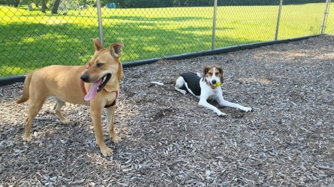 AC9h4npOzKeTk9kmm EvqqQuhWH3Ax7uNFSvJwqLohc2ktbEHcEspKaLEXVc0xf0Cz0 qVoqWAx2iTnR2JweU2p1m0C5hMW9TKBJcjZCM gYDhUX2F33dEgCfgctwyk65kGhXQjh2YJv6gw1600 h1000 k no