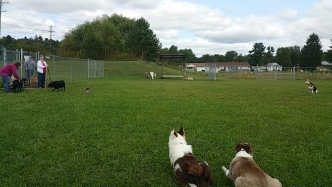 AC9h4npP1YW090G oOJmBdSUgd tLUxQQuq Vm vOGA6rpoUNhvGaz6Jjd INEIZdIqBOIzW73uoVSblYMW8dA3AWy4ffN7SwywbhoWwvJDkwVl1KME03Ory5RFrOr5PIG95DxztmjJRw1600 h1000 k no