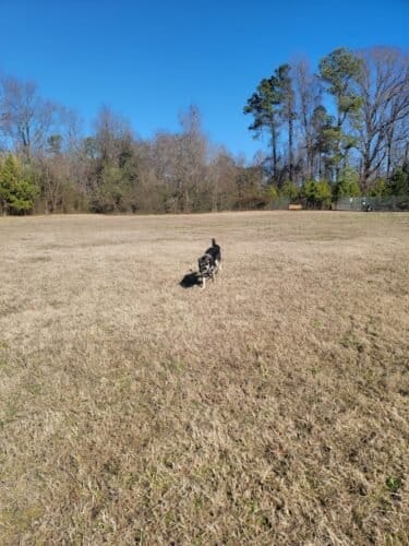 AC9h4npP2lw4c7xNZXgER4yDeHrE5xDBAaYcOoKCrNN4vrbCfVVXmteZkeCvmkcYTew1es fyE 3BXVsXdSGU3IDdUSMfx3XGeNShbtLeZ0w1600 h1000 k no