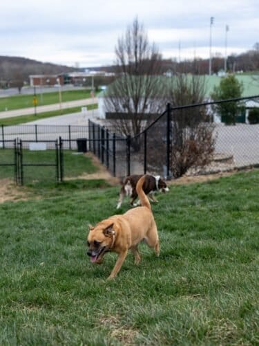 AC9h4npPGq7L51h1cBRS3xLhYgje5QLBkFxFP 8iCO1CrlWl2BvI6HcNjezT1d1LZp 8fPLSyzw30oEyB48DrD0eYqkqlYEg9ValhSVx45OIhvTkAwh2PbrfwFHqejH8F AO9Kn4zyI4w1600 h1000 k no