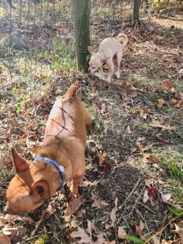 AC9h4npPMIdL0NctfUFXEVoog2ENgHG4ewjCGe6TdkPRNXI1Op4grwg9b Uu4sbXGRq5ncOwOxhEanQpAfxNjdHEVBeTkNcpCBmnXcZ AwMFvpDMlal9nJEbqJDoJ4tgUJVrjf5KPVwCWQw1600 h1000 k no