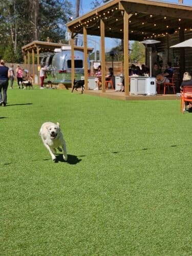 AC9h4npPSUv8cYLrzz408gKIJm04SlzHfIiG 8Nq b1UAqCJVuWaFeEkU2a4bwNNDIXTuv8cCkFbI3A 5gD9sTU7o1TWBKL78Z8nQDZ A5dHl9oFYCZVIa8Ilp8YoQ gnIf0eVBYa uXDAw1600 h1000 k no