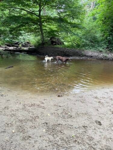 AC9h4npPbrBY2G8KJ9SuBhnbBr1b j3mc5CbXHBCj77ecKhKk8NzEpvZhxmz gHajZgKY3dmfNvr JBILCFg X7YhZnY6KVC1kYgL8y0aRG7IfpIl9BXw4fZ0 66TgyW7fA4BHN5r7Y ww1600 h1000 k no