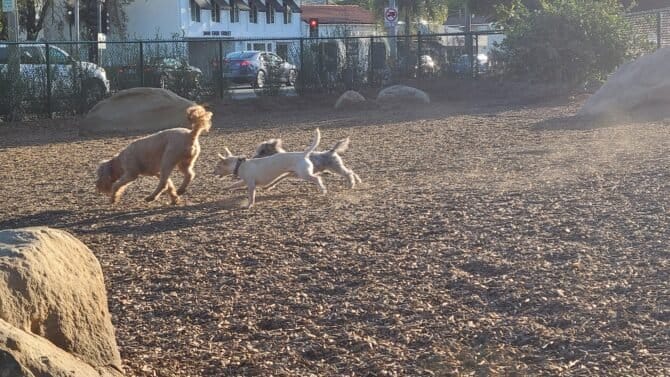 AC9h4npPhNVkS0XboedkhIsL5ThPPDsSROjWqaTJk6oROUXtBs48m0CG8s fNv3ASrtZelBq5mNbhN1QtywMWZFKa5YWS4Wt9xsmC5FfyuM23gSSwIHKD xY6t JJJ xKeHpuXR4Sm6w1600 h1000 k no