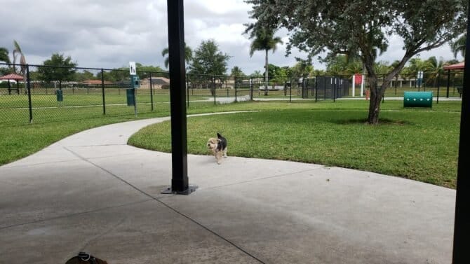 AC9h4npPmixNqzMJZgO8xPvfyyHR89M3FJ89e8YraNzgQKKNvuMtpAXbXa wMvehDp87T37NMFnMfHDjU7mi6rdYSscJ68tNI1mymthzQUGTs6gTh FgBIbrRHiDVPdLwoENJampTLJBMgw1600 h1000 k no