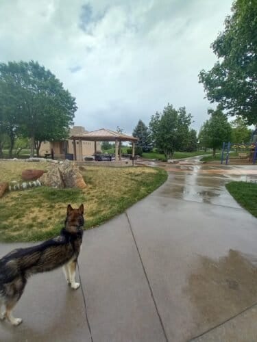 AC9h4npPpkls1x3Yg3pzv6lSbbHFoVVRtBgohOPrChHtjT6nMkuWPCvIZZE9VB6382aAB lbwwD B PVL9gpnS cau 0sSbqJBZ0mCk8PAoR1et vmVZOR8kLFFqXnfrzfBAtNFLJQxOw1600 h1000 k no