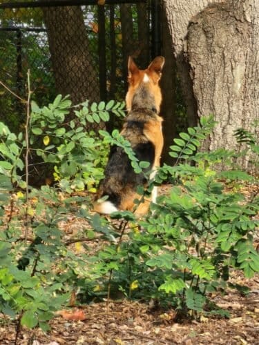 AC9h4npPrSqhks2XO3ZCdFQhTyix2vEWyfWM vb0m3V83u RZQcegGNSuFWPN3haIuhoJHG 2wSeRDGtidJhIJ75XRu97sJcHsoAJhjEsKZzv1B6YU3vx1lh06ItJDt1Bh 1DKuzBhEIngw1600 h1000 k no