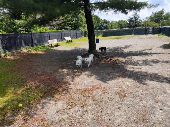 AC9h4npPuIkbkJahhVV9YEKQDZMxQug JbEnsJHYgP5MpRtR8 ZmJmkfO0dFF7OMGRqYGkKoazQV8uHKLa2pX6crswEE5qdlQSEj OFeyvaZ9BR3glTk2oNRs08sZq GgcuaVJ5jEZNgw1600 h1000 k no