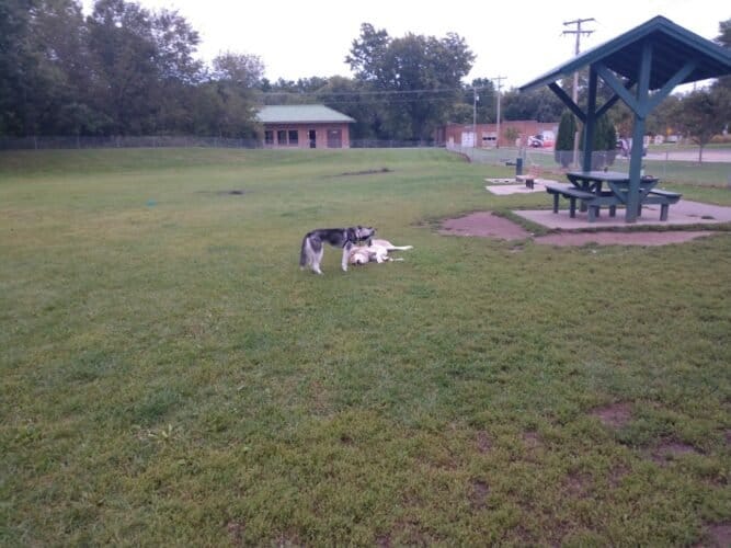 AC9h4npQCv7d sZrHXwn  DjShIDih8jrTVAlVMEBgigpdtOmNnEj9qM8SoQOxf M81XafZExkKMu6T77mQwSJD3ts63adTpa  shQZuZqExH0ikMQik4zmkPcu1qqmtCjqpke EiHRn0Aw1600 h1000 k no