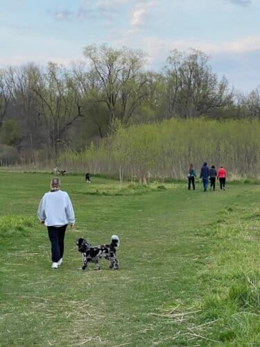 AC9h4npQRhBMflQ4TeoRvB9 dI5zvNB7 63SP9Rbkja1OP5AnqpWWE6l73RU hj44zWqzCYTCVDkVy9FfGnfrTxylg8J11V o CIZLon8Uep5ORBW KWOG qRCrdBgIM27sHcxNoPqUCw1600 h1000 k no