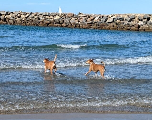 AC9h4npQUNKNMK K4fp9ENhBd50HUAHO hSEGZNqWuncpI8KlfbeaoBr1SVYlkp7qMK9t5PBIAys14wGVDDLAmhQSo2lW7j7j4Qgsjw3cDzRs06VARBHG785fpfVNlAS4YEsUyHMG5PpxQw1600 h1000 k no