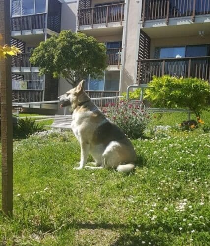 AC9h4npQhJwNCWiT3WOYrRbJLpOw9ICvqyJnUzM1pJk4SCxYuCBtBNGN7L4QdAr0w mNj4uum44bdqrOA8hCT2fkoZ84fWcEDK6iIy ZdXwzWKj2GUoLuj3klY Kao71xpzxj3YJq Sjoww1600 h1000 k no