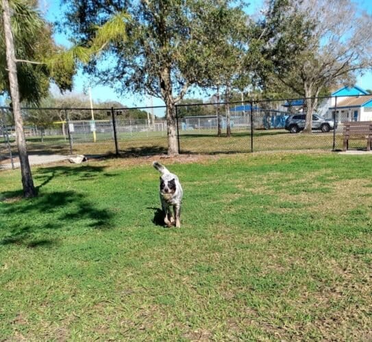 AC9h4npQsvuXrfjOWiFTI89X7CGy3XzQyXKLUVYhUtqA6158vBvuXMsTQAxXIYdd IeZPIxDFsY4OXQYxFtCpqw2cWchgrLqY FJLj7Q RaJ1THpfyKdW4v8YtFu5nmljNgxEuu 5lEw1600 h1000 k no