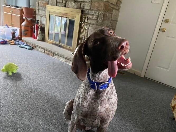 AC9h4npQt6aN9C MWy3fvs3K1Q4ChkyKXmahnm5O Wtb2wJUj7yLQy23MZTgfos0vAySPfQmcJSLt2Upo1vBUdzyslZtDF6PtbMxfdzztsoHCltA6Ach99e 17MspJmA7ioOF3QSWgCahQw1600 h1000 k no