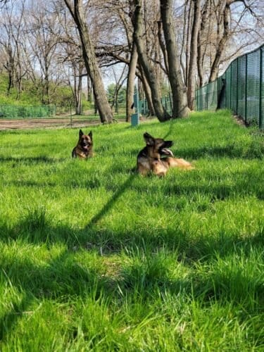 AC9h4npRDrGS6BKM2L1GMabYAbHffE4yGVpXX8UtdSJck1Wl2AN8LOKCPHAEjBAAgxSadFCfVUFvEYivJ0ku3LjWiS pUy2ISABPJqQUKQw1600 h1000 k no