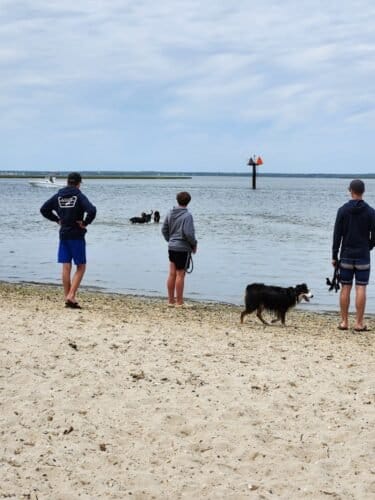 AC9h4npRF2lj36XXLvNwXa6DGatB0Z06nzLiwAhXWWmZb7fx3AY1J3FMuLE01ykSKYp4WUt 86II Z1rU5x mdi5wjVh hdMqJ9VUzAiw1600 h1000 k no