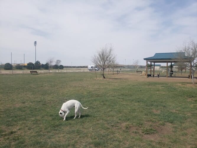 AC9h4npRI4HcCLo8dpVzGYRdca41fWCYvjAeI4n9K4Dfxr8v2nDmP1RNxds9k8kzDvX2373SuJ66T0J28N6NpEp1RMB0LEhDmdflzBryQ K4j2kpmvb6kf1v4eyZm5vRIul6gX5GT07nw1600 h1000 k no